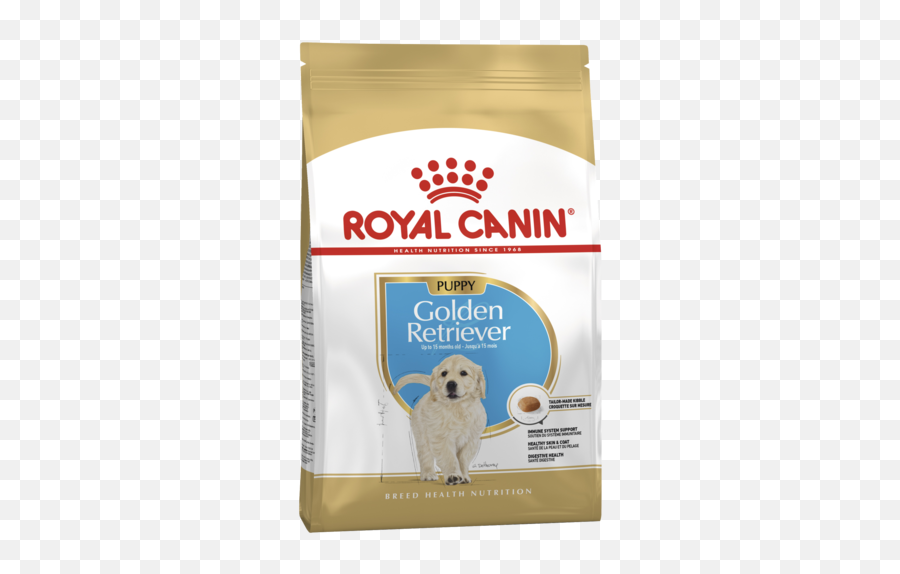 Royal Canin Golden Retriever Puppy - Royal Canin For Golden Retriever Puppy Png,Golden Retriever Png