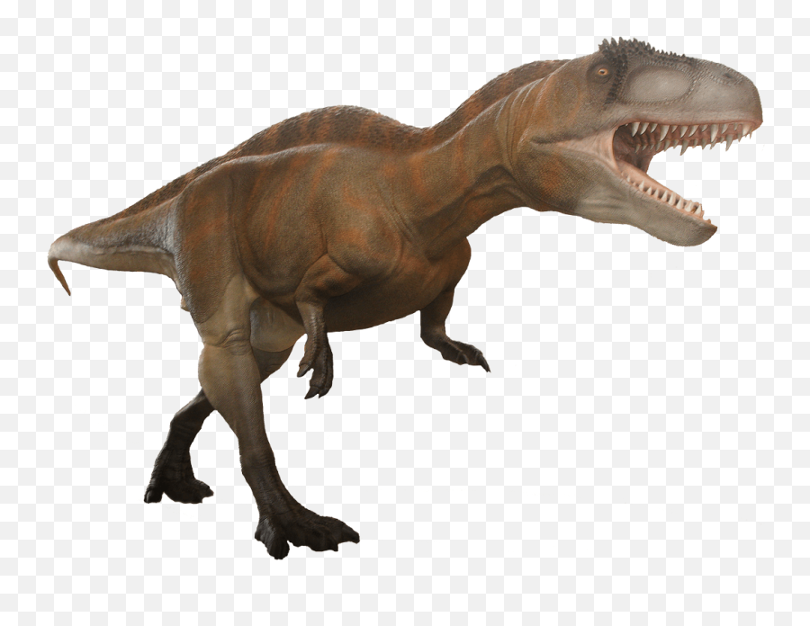 Dinosaur Footprint Png - Trackmaker Of The Irenesauripus Acrocanthosaurus Png,Transparent Dinosaur