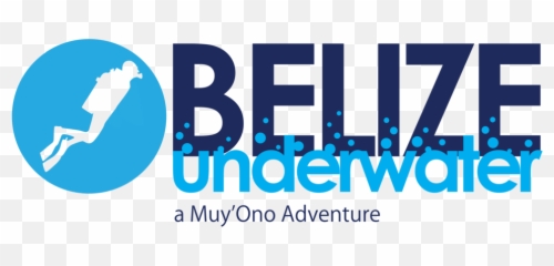Belize Underwater Snorkeling And Scuba Diving Png