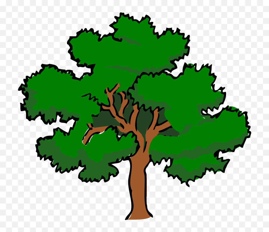 Tree Drawing With Color Png Transparent Images U2013 Free - Prime Factor Tree Of 92,Color Png