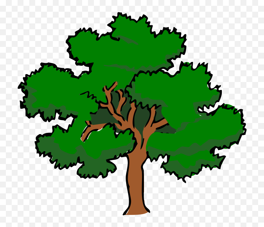 tree-drawing-with-color-png-transparent-images-u2013-free-prime