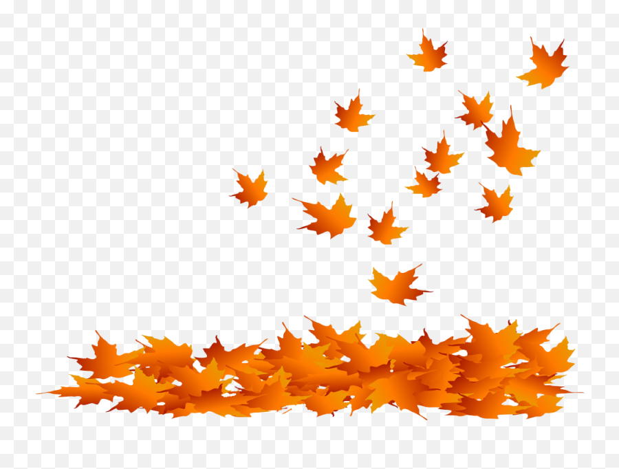 Bizzy Beeu0027s Corner - Fun Resources For Kids Parents Educators Autumn Pile Of Leaves Clipart Png,Fall Leaf Png
