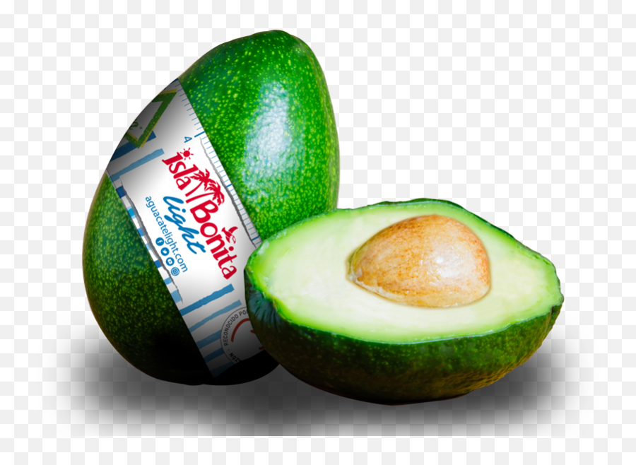 Isla Bonita Aguacate Light - Hass Avocado Png,Aguacate Png