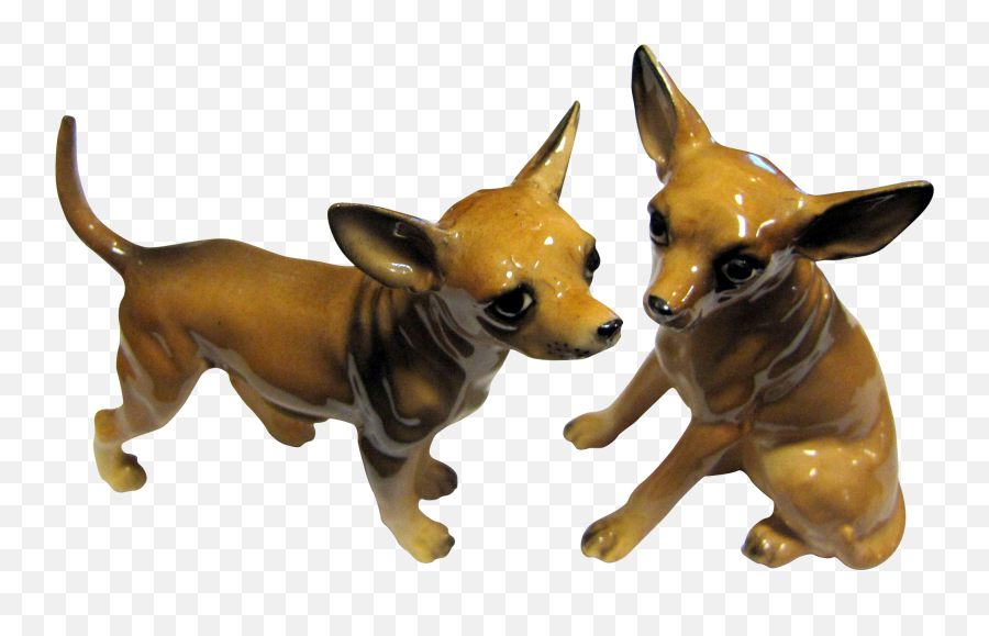 Download Hd Darling Pair Of Chihuahua Dog Shakers Super - Dog Supply Png,Chihuahua Png