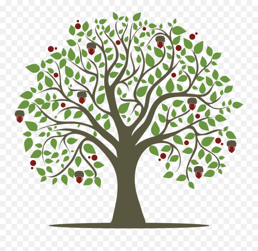 Oak Tree Png - How To Help Oak Tree Of Life Jewish Transparent Background Free Tree Clipart,Oak Tree Png