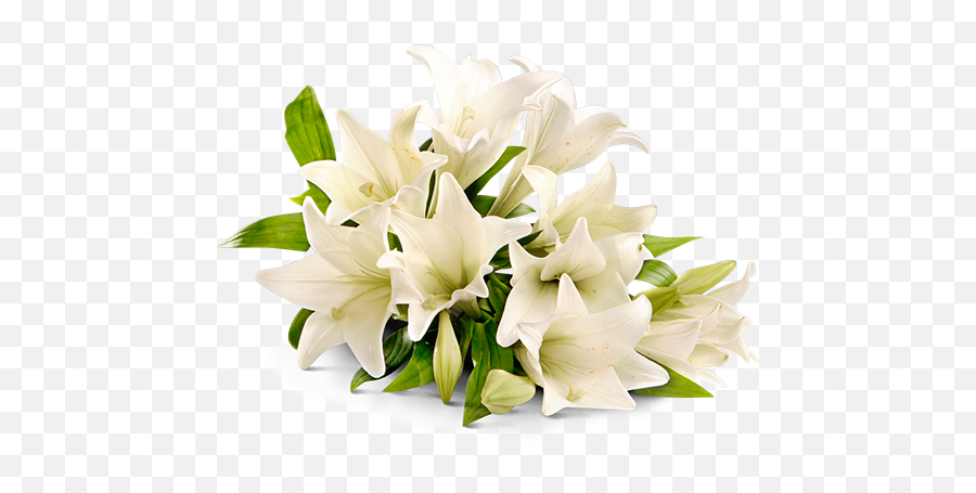 Place - Flower For Rip Png,Rest In Peace Png