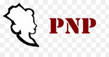 My Nurse Wellness Coach - Hair Design Png,Paint.net Logo