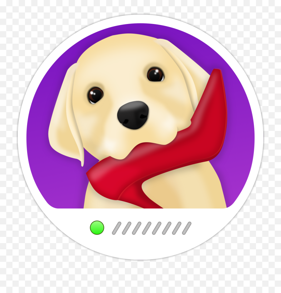 Press Kit - Pet Monitor Vigi App Dog Camera For Iphone Happy Png,Camera App Icon
