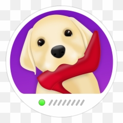 Press Kit - Pet Monitor VIGI App Dog Camera for iPhone Happy png