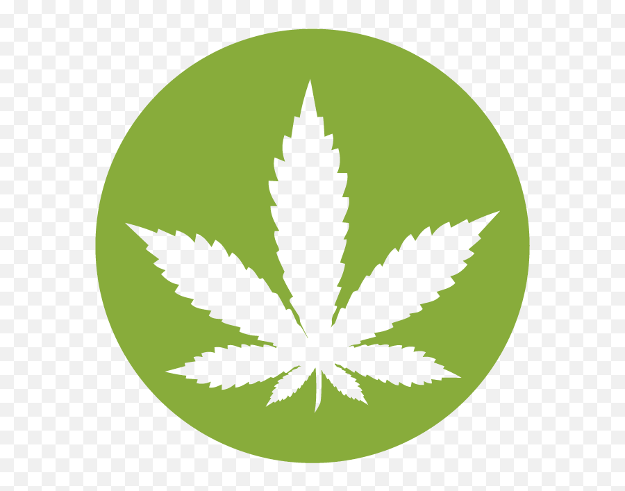 Plant Family Registry Id Card - Background Png Transparent Marijuana Symbol,Apply Now Icon
