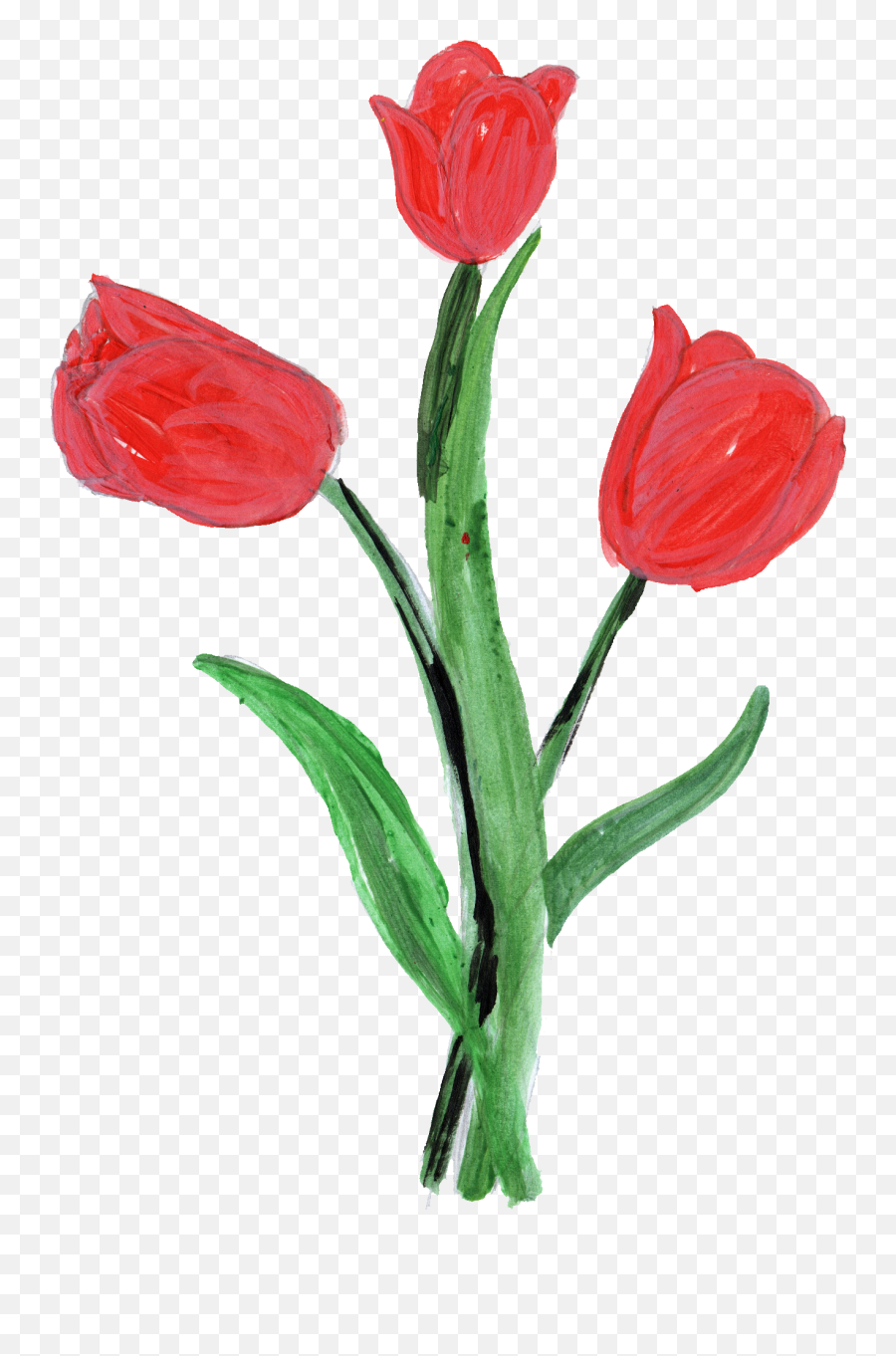 10 Paint Flower Png Transparent Onlygfxcom - Painted Tulip Flower Png,Flower Stem Png
