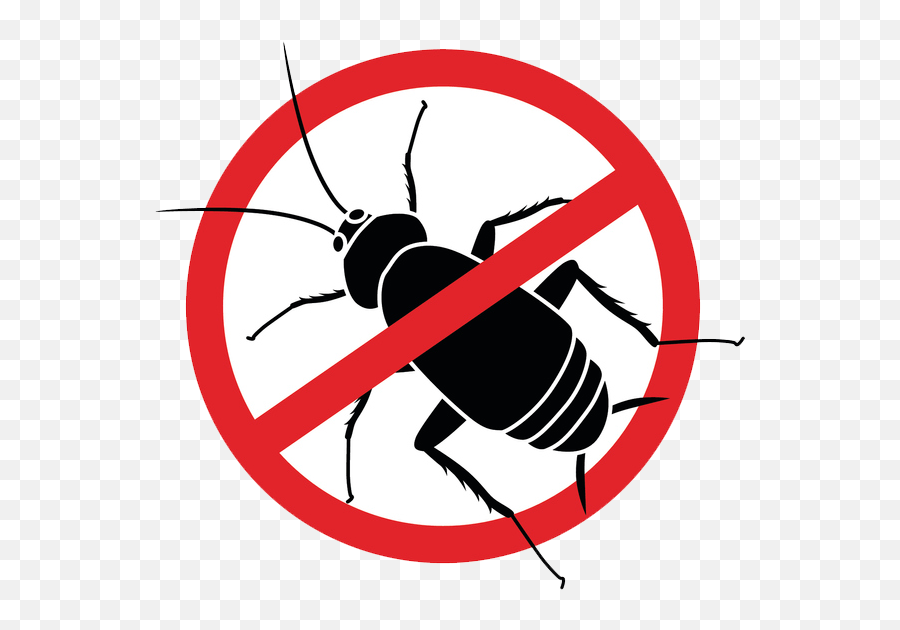 Commercial Pest Control Kea Longmeadow Ma - Ncov Virus Png,Cockroach Icon