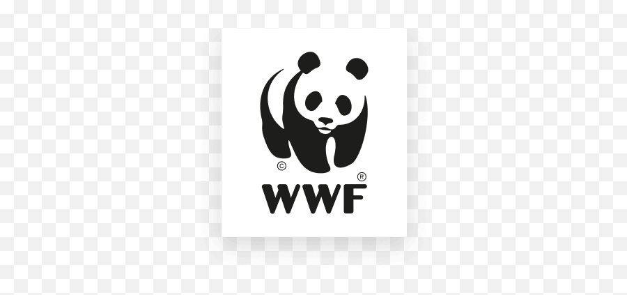 Giant Panda Species Facts Info U0026 More Wwfca - Wwf Logo Black Background Png,Endangered Species Icon