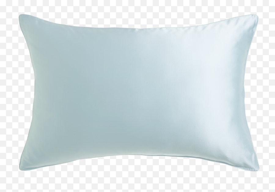 Duck Egg Blue Pure Mulberry Silk Standard Housewife Pillowcase Pair - Solid Png,Icon Pillows