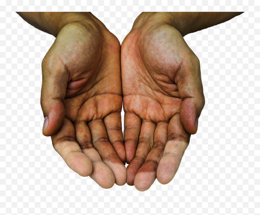 Havsco U2013 What Is Havs Or Hand - Arm Vibration Syndrome Hand Holding Out Png,Hand Palm Png