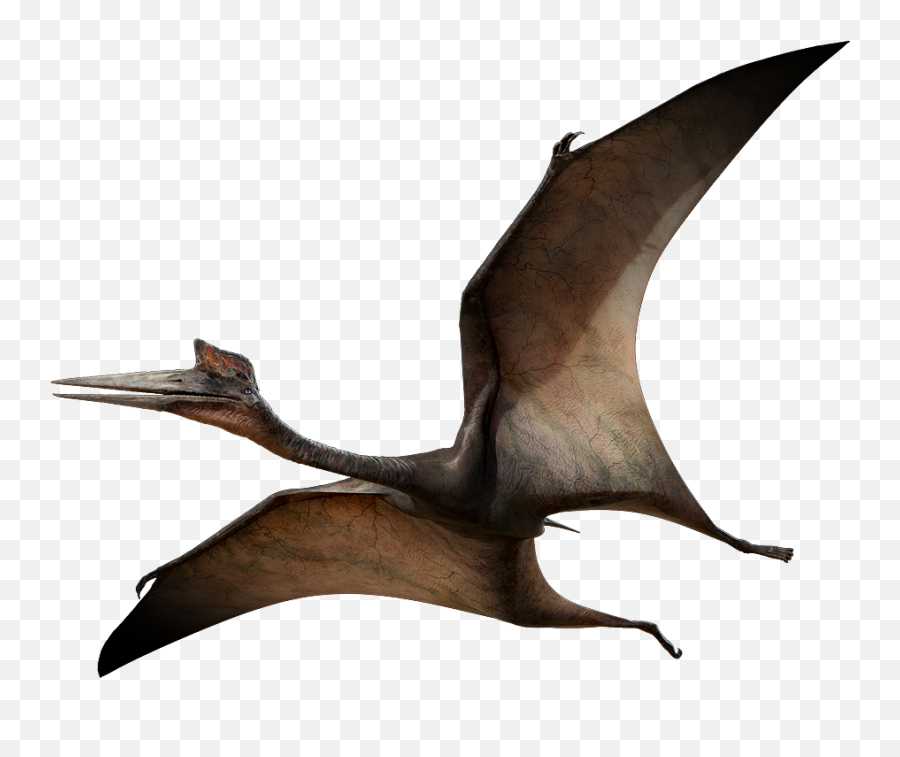 Pterodactyl Png 6 Image - Pterosaur Walking With Dinosaurs,Pterodactyl Png