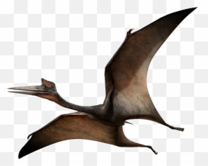 Pterodactyl Png 6 Image - Pterosaur Walking With Dinosaurs,Pterodactyl Png