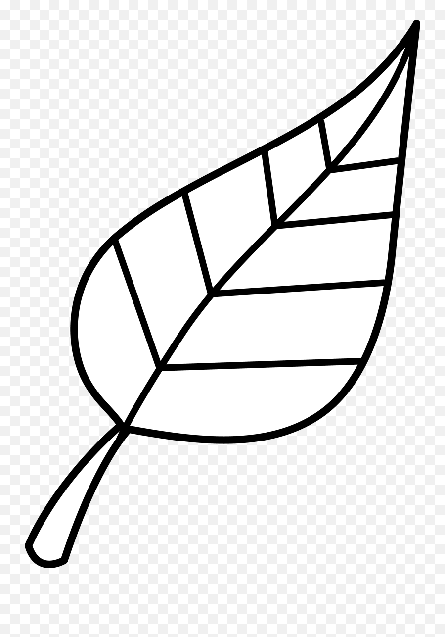 Leaf Fall Leaves Clip Art Black And White Clipartion Com - Leaf Clip Art Black And White Png,Fall Leave Png