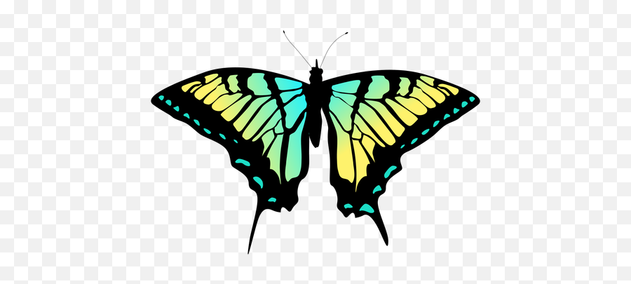 Transparent Png Svg Vector File - Mariposas Verde Con Amarillo,Yellow Butterfly Png