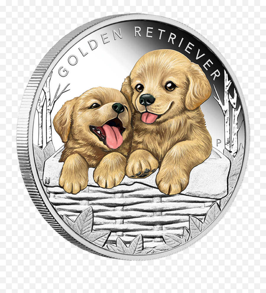 2018 Puppies - Golden Retriever 12oz Silver Proof Coin Golden Retriever Coin Png,Golden Retriever Transparent