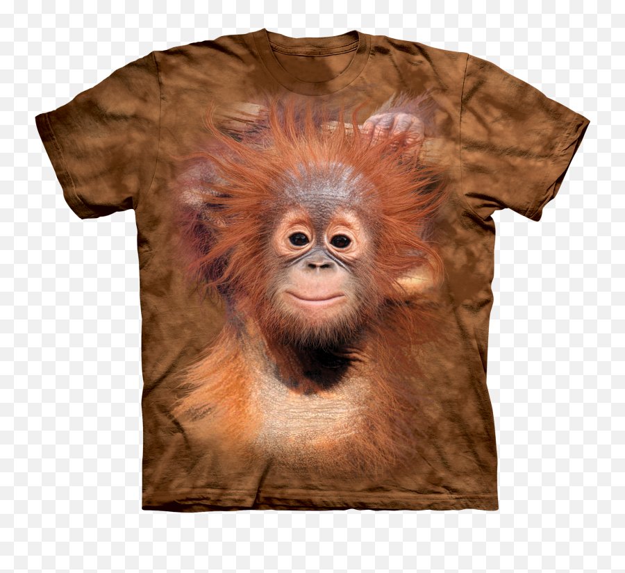 Download Hd Baby Orangutan - Animal T Shirts Transparent Png Disney Animal Kingdom Lions T Shirts,Orangutan Png