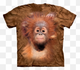 Download Hd Baby Orangutan - Animal T Shirts Transparent Png Disney Animal Kingdom Lions T Shirts,Orangutan Png