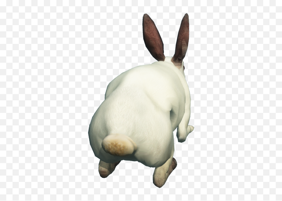 Free Transparant Clipart Rabbit - White Rabbit Back Png,Rabbit Png