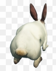 Free Transparant Clipart Rabbit - White Rabbit Back Png,Rabbit Png
