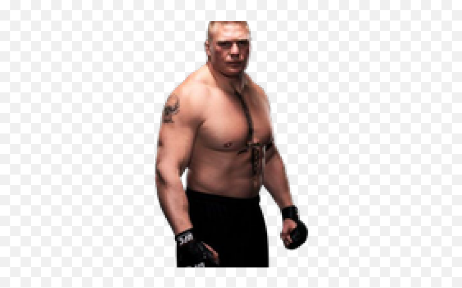 Download Brock Lesnar - Brock Lesnar Ufc 116 Png,Brock Lesnar Transparent