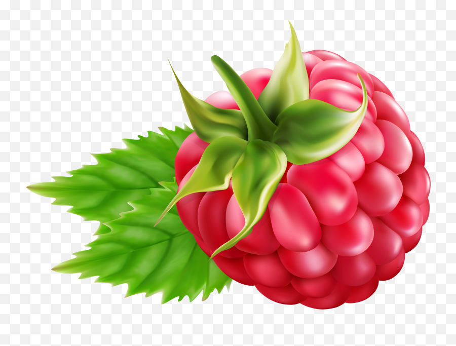 Library Of Svg Freeuse Raspberry Png - Raspberry Clipart Png,Raspberries Png