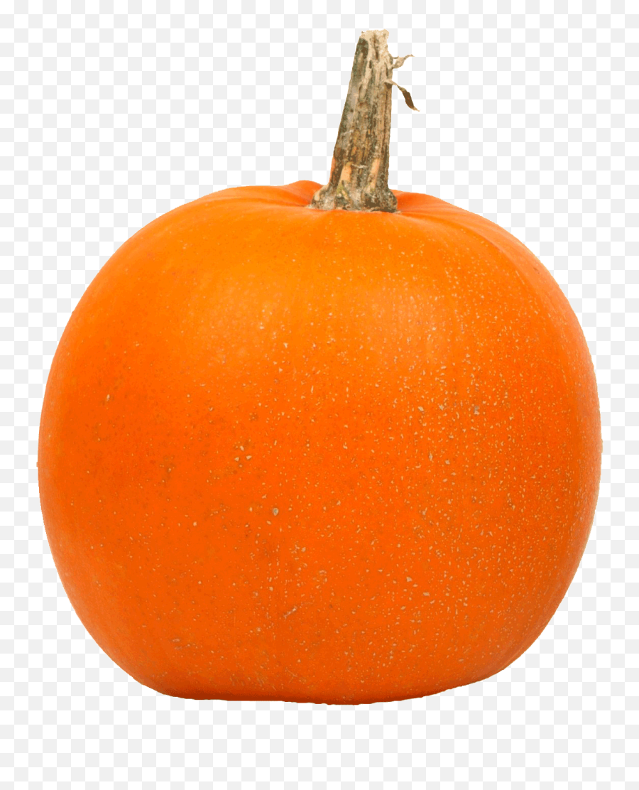 Transparent Background So Theyre - Pumpkins In A Row Png,Pumpkins Png