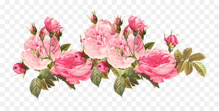 Vintage Rose Png Pink Roses Free Image - Transparent Pink Flowers Png,Pink Roses Png