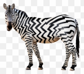 Zebra Png Free Download - Zebra Png,Zebra Png