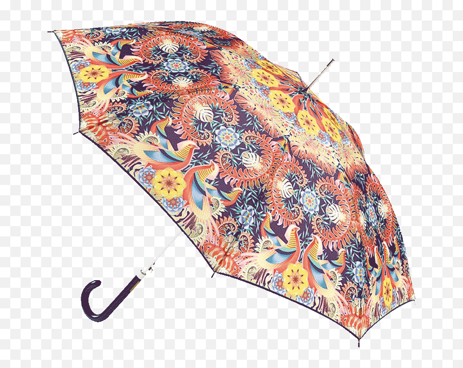Shop For Umbrellas - Umbrella Png,Umbrella Transparent Background