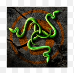Razer Store - Corona Marketplace Fondos De Pantalla Pc png