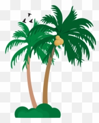Vector Coconut Tree Png - Png