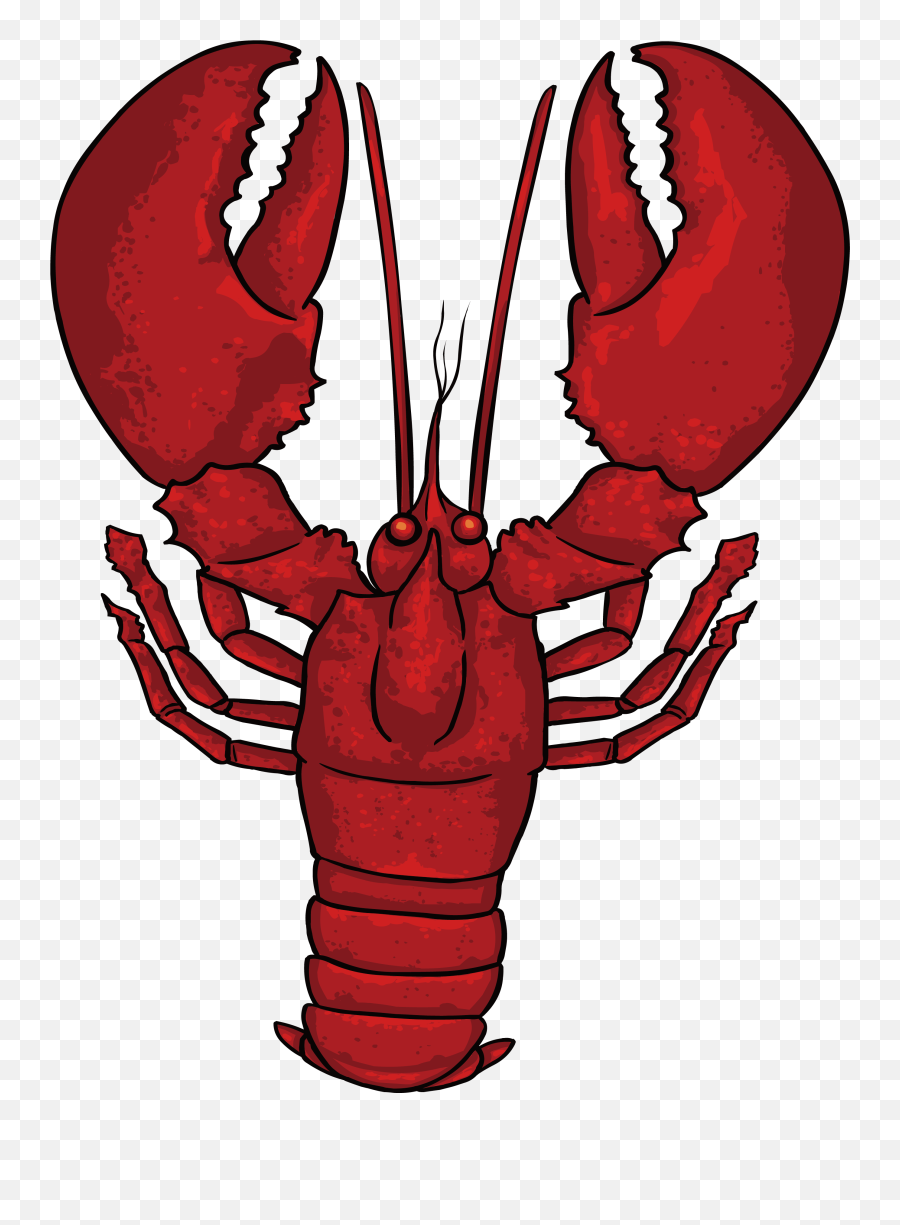 Download Crabs Clipart Lobster - Full Size Png Image Pngkit Png Clipart Lobster Png,Crab Clipart Png