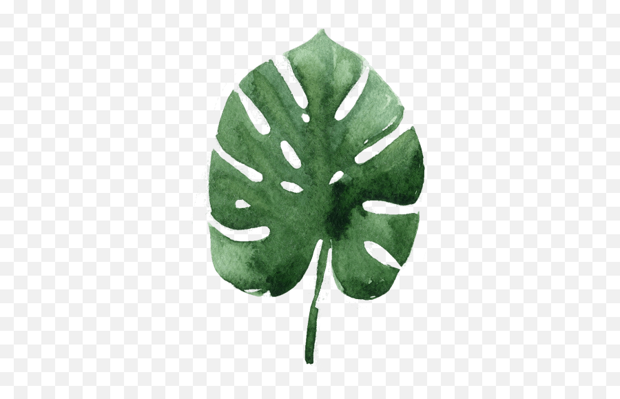 Tripadvisor Logo - Transparent Tropical Leaves Watercolor Transparent Tropical Leaf Watercolour Png,Tripadvisor Logo Png