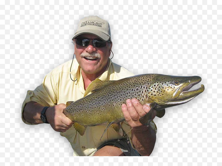 Dreamcast Fly Fishing In Patagonia Argentina - Patagonia Argentina Fly Fishing Png,Patagonia Fish Logo