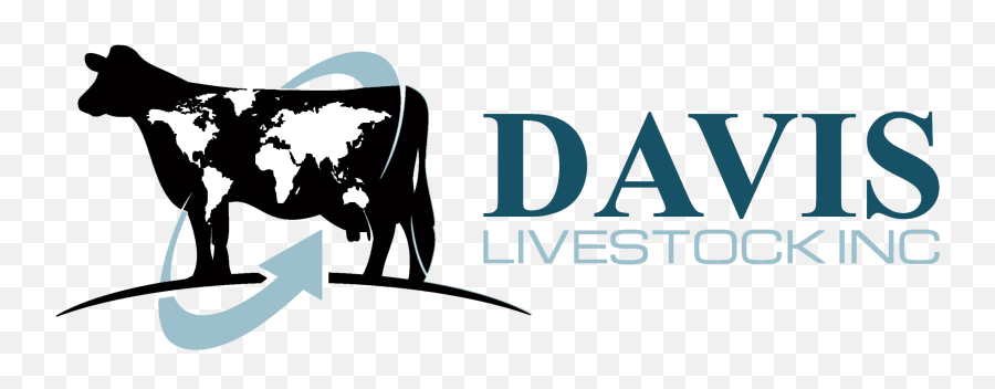 Davis Livestock - Quality Heifers Abstract Map Of The World Png,Cattle Brand Logo