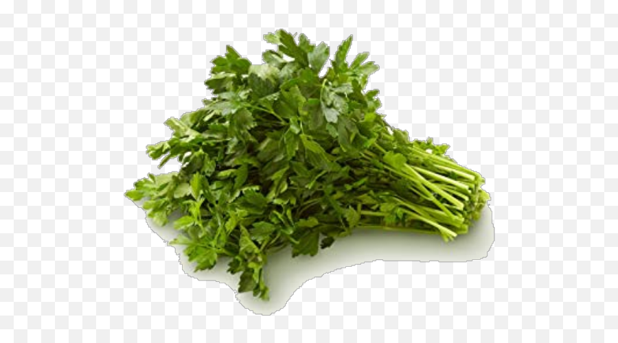 Parsley Bunch - Fines Herbes Png,Parsley Png