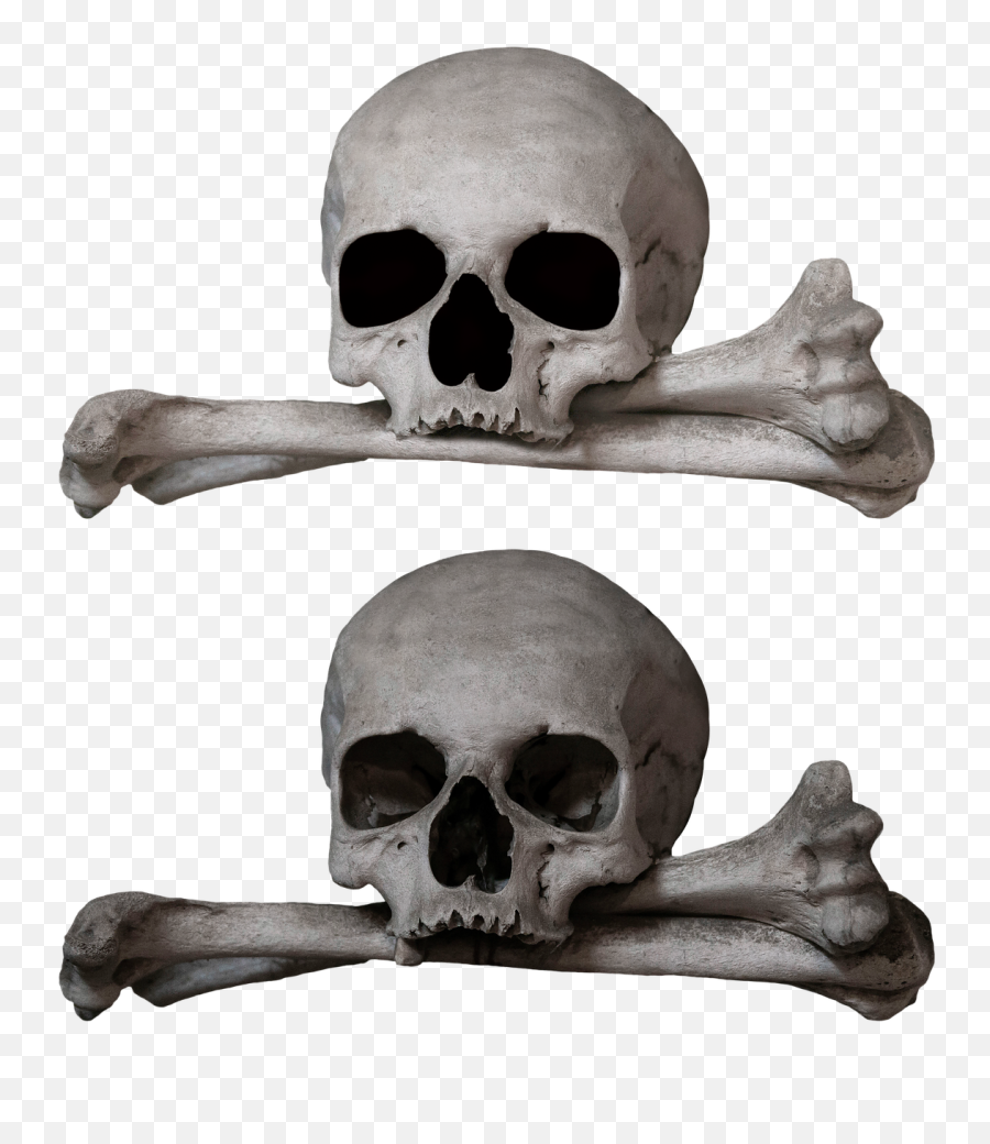 Bone Skull And Crossbones - Creepy Png,Skull And Crossbones Transparent