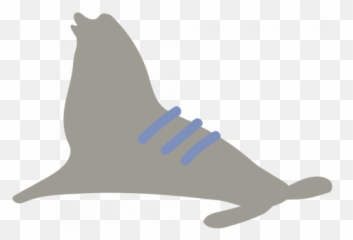 The Good Life - July 2020 Tags U0026 Stickers Print Sea Lion Fin Png,Sea Lion Png