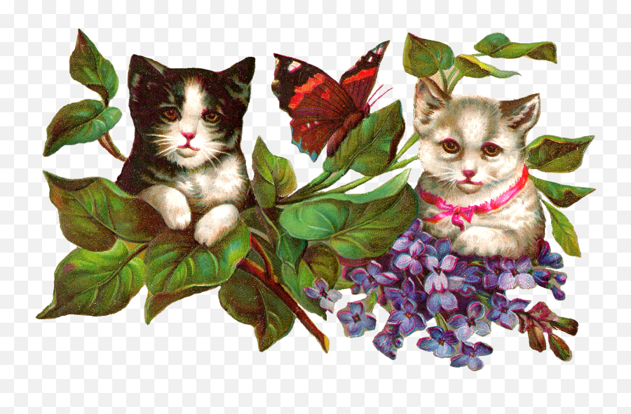 Clipart Flowers Cat Transparent Free - Domestic Cat Png,Wisteria Png