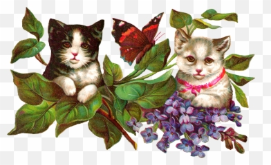 Clipart Flowers Cat Transparent Free - Domestic Cat Png,Wisteria Png
