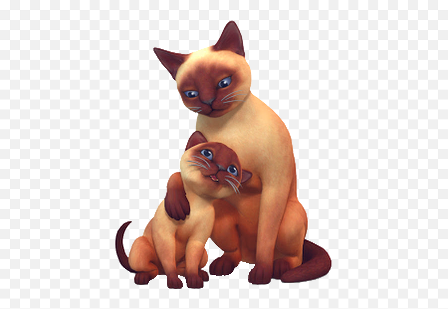 Gato, The Sims Wiki