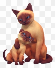 Cat The Sims Wiki Fandom - Cats png
