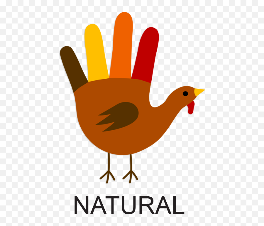 Turkey - Natural Thanksgiving Clipart Transparent Background Draw A Turkey Hand Png,Thanksgiving Transparent Background