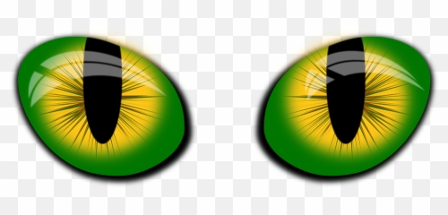3000 Free Eyes U0026 Woman Illustrations - Transparent Cat Png