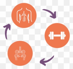 Webinar Core And Pelvic Floor Strength For Moms - Language png